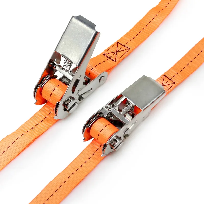 Endless loop cargo lashing strap securing a bundle of materials